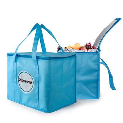 Cooler Bag